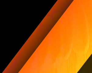 Tropicalfeather_thumb.png