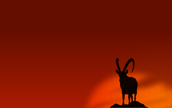 PV_Widescreenibex2.png PV_Widescreenibex2.png
