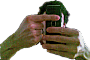 abosch.png