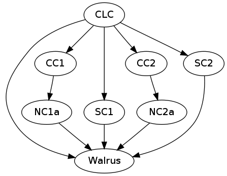connection paths