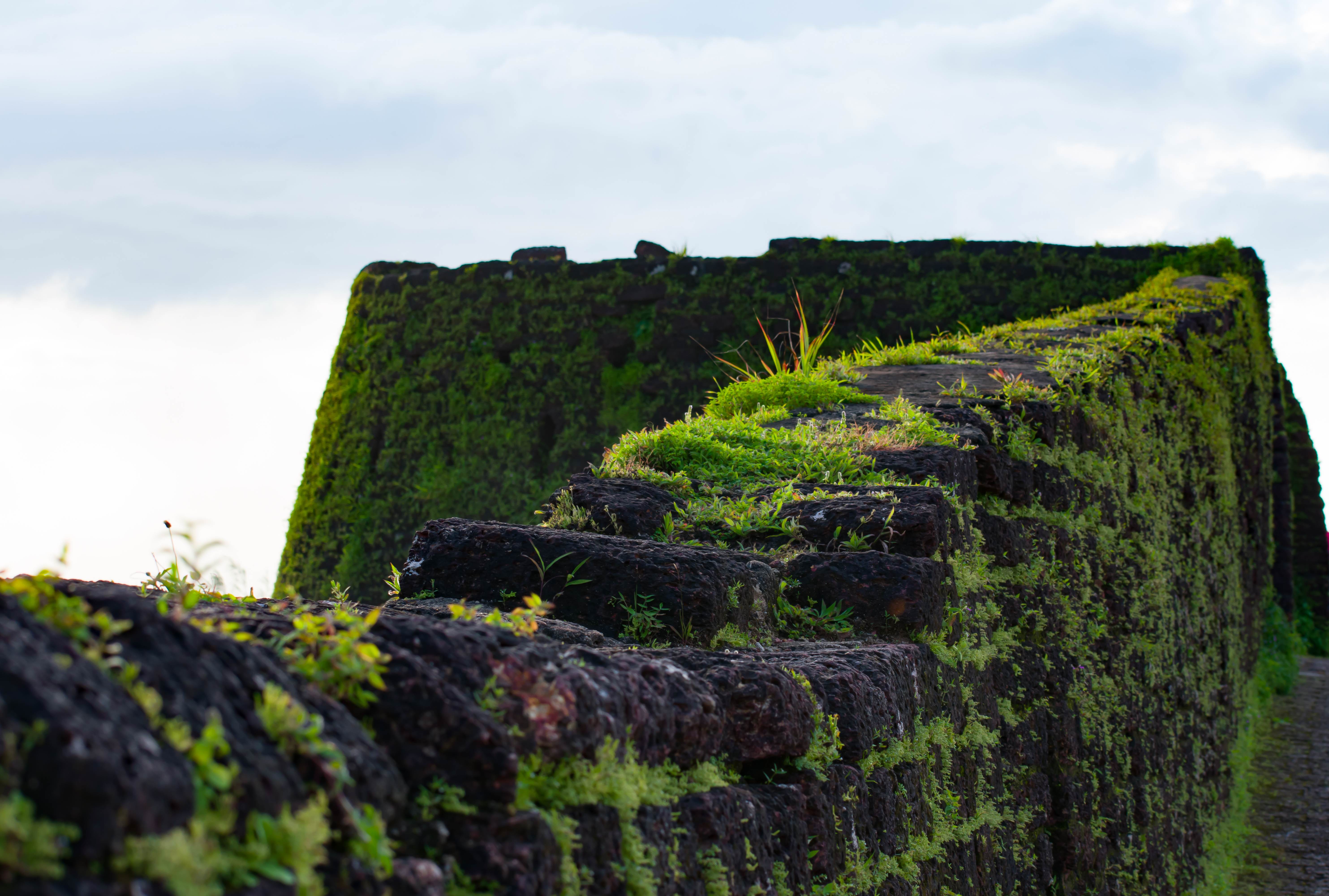 Fort